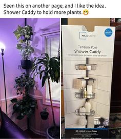 Shower Rack, Plant Hacks, Trailer Ideas, House Plants Decor, Shower Caddy, House Plants Indoor, Meditation Room, Plant Mom, Dream House Decor