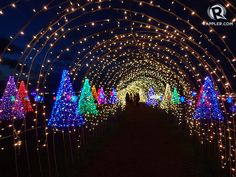 an archway covered in christmas lights with trees and people walking through it at night time