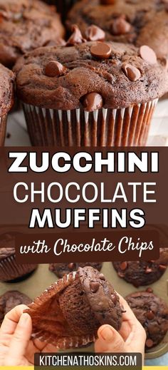 zucchini chocolate muffins with chocolate chips in the middle and on top