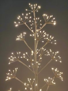 a lighted christmas tree with white branches