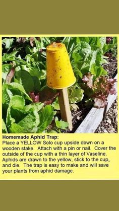 a yellow object sitting on top of a wooden stick in the middle of a garden