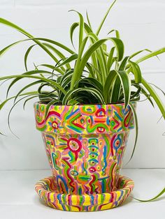 a potted plant sitting on top of a white table