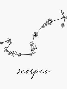 the word scorpio written in black ink on a white background with flowers