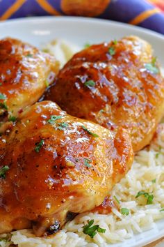 two pieces of chicken on top of rice and garnished with parmesan