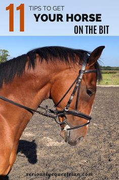 a brown horse standing on top of a dirt field