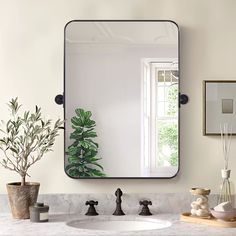 a bathroom sink with a large mirror above it and plants on the counter next to it