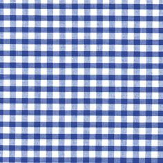 a blue and white gingham checkered fabric