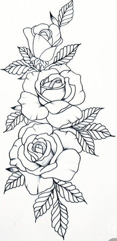 a drawing of roses on a pink background