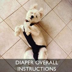 a small white dog laying on top of a tile floor with the words diaper overall instructions written below it