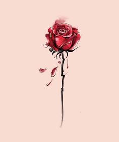 a drawing of a red rose on a pink background