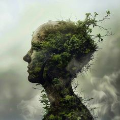 a person's head with trees growing out of it and clouds in the background