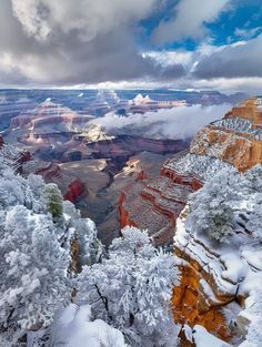 the grand canyon is covered in snow and clouds