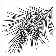 a pine tree branch with cones on it, black and white drawing by hand stock illustration