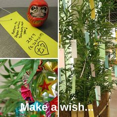 three pictures with plants and sticky notes on them