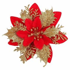 a red and gold poinsettia on a white background