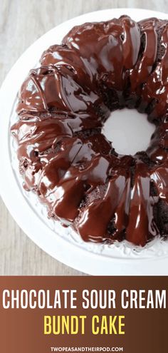 a chocolate sour cream bundt cake on a white plate