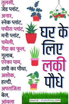 Lucky Plants For Home, Good Luck Plants, Pathway Decoration, Jyotish Remedy, Home Vastu, Rock Pathway, Vastu House, Tips For Happy Life, Lucky Plant