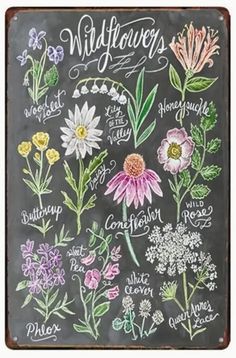 a chalkboard with wildflowers written on it and flowers drawn in different colors