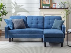 a blue couch sitting in front of a white wall next to a potted plant