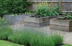 an outdoor garden with various types of plants and flowers in wooden boxes on the ground