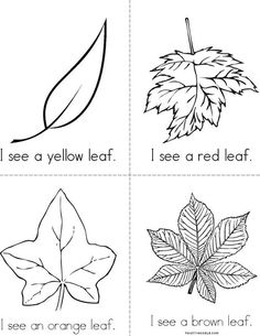 four different leaf shapes with the words color the leaves and read the pictures on them