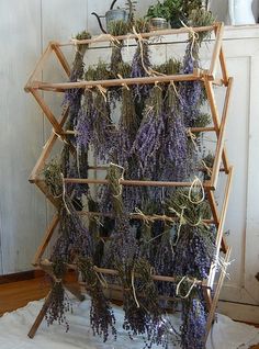 lavender flowers are hanging from a wooden rack