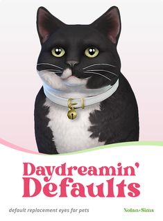 a black and white cat wearing a collar with the words daydreamin'defaulits on it