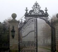 an iron gate is open on a foggy day