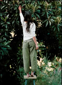 blake military trouser in olive Olive Straight Leg Military Pants, Military Style Wide Leg Olive Pants, Military Style Olive Wide Leg Pants, Olive Wide Leg Military Pants, Imogene And Willie, Imogene Willie, Red Stain, Japanese Outfits, Graphic Tee Shirts