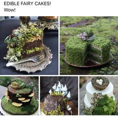 there are many different cakes with moss on them