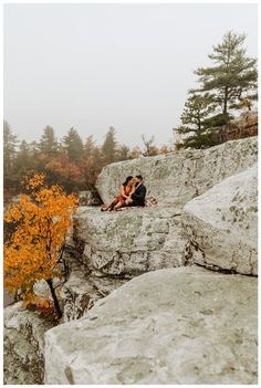 two people sitting on top of a large rock next to a small tree in the fog