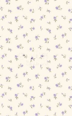 purple flowers are on a white background