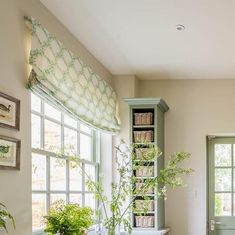 a kitchen with green cabinets and plants in the window sill