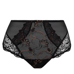 High-waisted panty LISE CHARMEL Fauve Amour Elegant Sheer High-cut Leg Bottoms, Black Sheer Brief Bottoms, Elegant High-cut Leg Bottoms Partially Lined, Embroidered Tulle, Lingerie Set, Women Lingerie, The Back, Lingerie, High Waisted