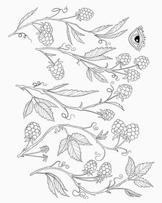 a drawing of berries and leaves on a branch