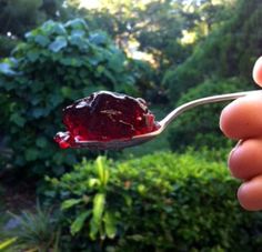 a person holding a spoon full of red jelly in front of some bushes and trees