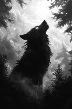 a black and white photo of a wolf in the woods looking up at the sky