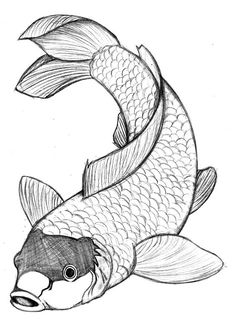 a drawing of a koi fish swimming in the water