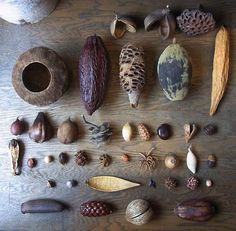 an assortment of different types of nuts on a table