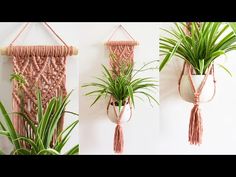 three hanging planters with plants in them, one is made out of yarn and the other has an air plant