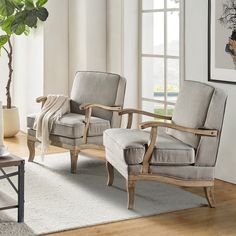 a living room with two chairs and a rug in front of the window, next to a potted plant