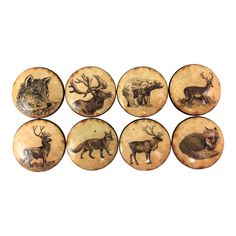 six deer and elk magnets are shown on a white background