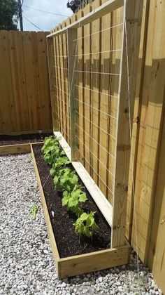 a garden bed with plants growing in it next to a wooden fence and gravel ground