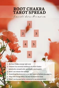 an advertisement for root chakra tarot spread with red flowers in the foreground