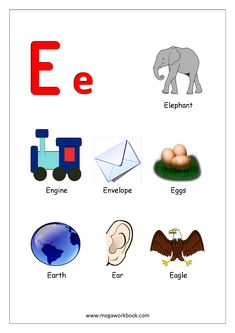 the letter e is for elephant and an egg, an eagle, an bird, an elephant