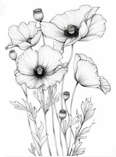 black and white drawing of flowers