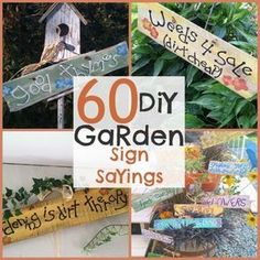 a collage of pictures with the words 60 diy garden sign sayings