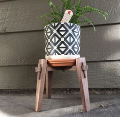 a potted plant sitting on top of a wooden stool