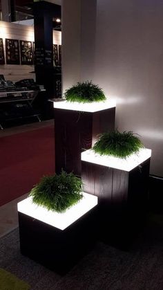 three square planters with grass growing on them