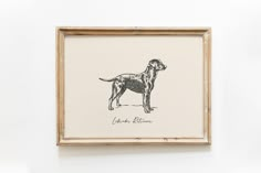 a black and white drawing of a dog is hanging on the wall next to a wooden frame